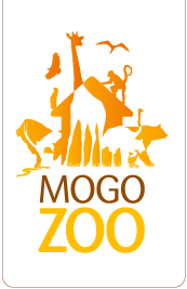 Mogo Zoo - Accommodation Port Macquarie