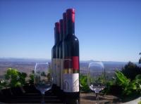 Mount Tamborine Winery  Homestead - Accommodation Port Macquarie