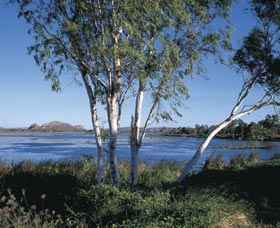 Celebrity Tree Park - Accommodation Port Macquarie