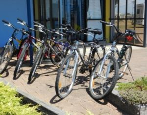 George Town to Low Head Walking and Cycling Trail - Accommodation Port Macquarie