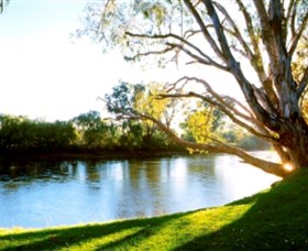 Albury - Murray River Precinct - Accommodation Port Macquarie