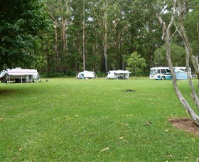 Coopernook Forest Park - Accommodation Port Macquarie