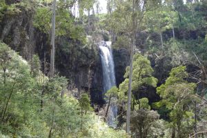 Bindaree Falls - Accommodation Port Macquarie