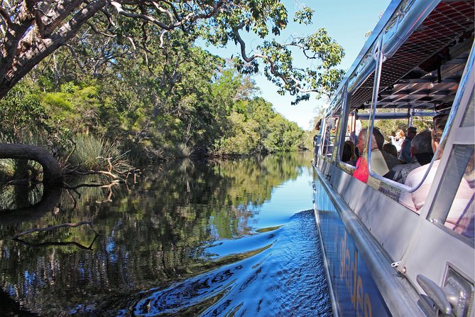 Serenity Cruise to Australia's Everglades - Accommodation Port Macquarie