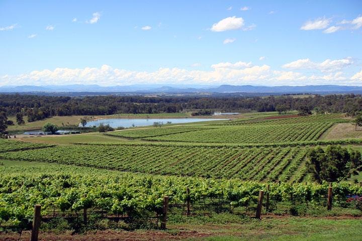 Private Hunter Valley Wine-Tasting Day Tour from Sydney - Accommodation Port Macquarie